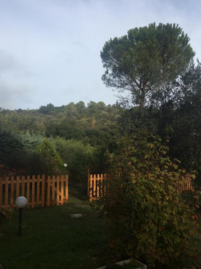 B&B Il Frassino Перуджа Екстериор снимка