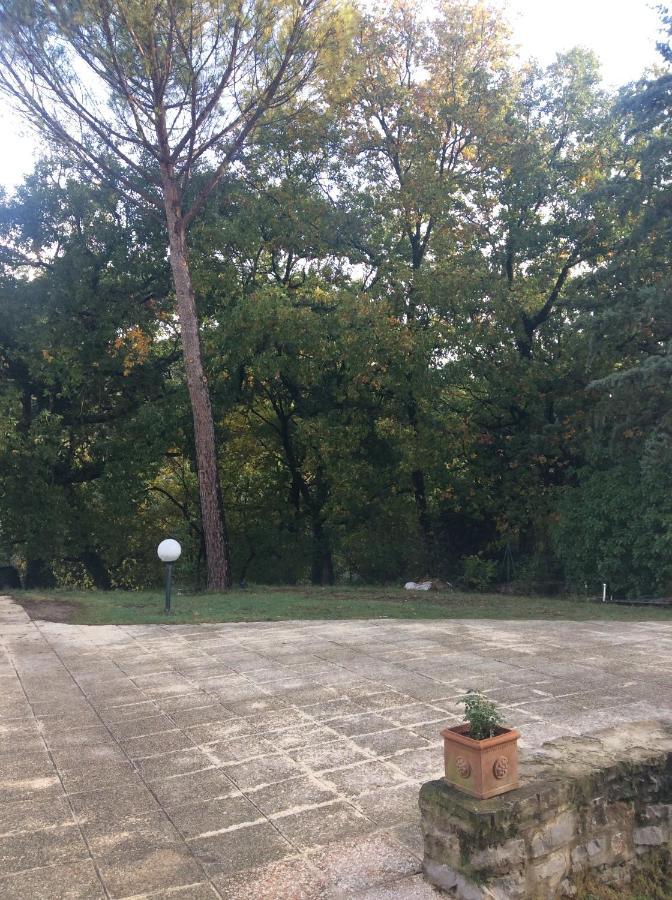B&B Il Frassino Перуджа Екстериор снимка