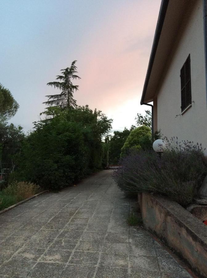 B&B Il Frassino Перуджа Екстериор снимка