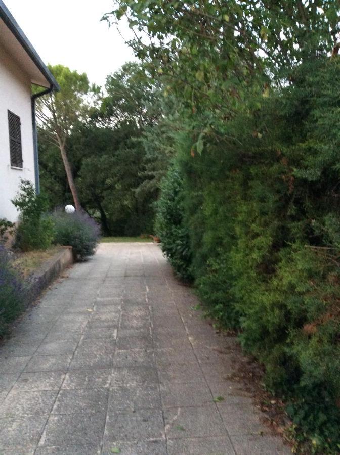 B&B Il Frassino Перуджа Екстериор снимка