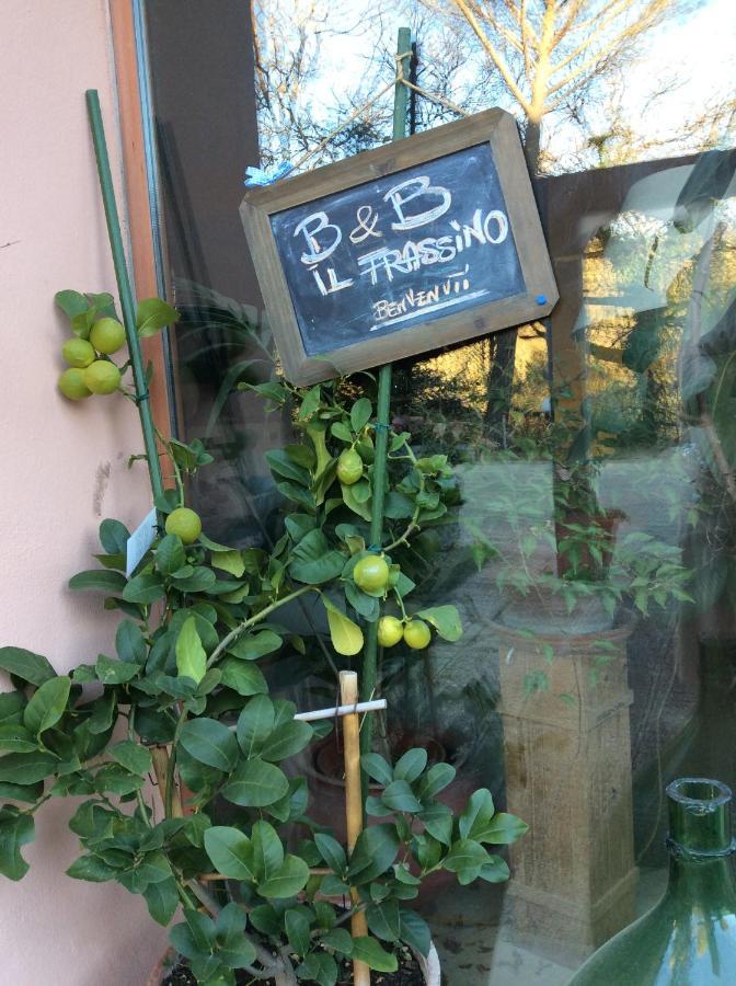 B&B Il Frassino Перуджа Екстериор снимка