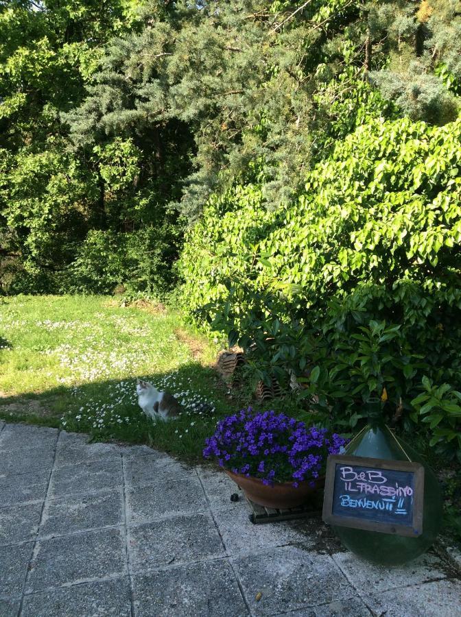B&B Il Frassino Перуджа Екстериор снимка