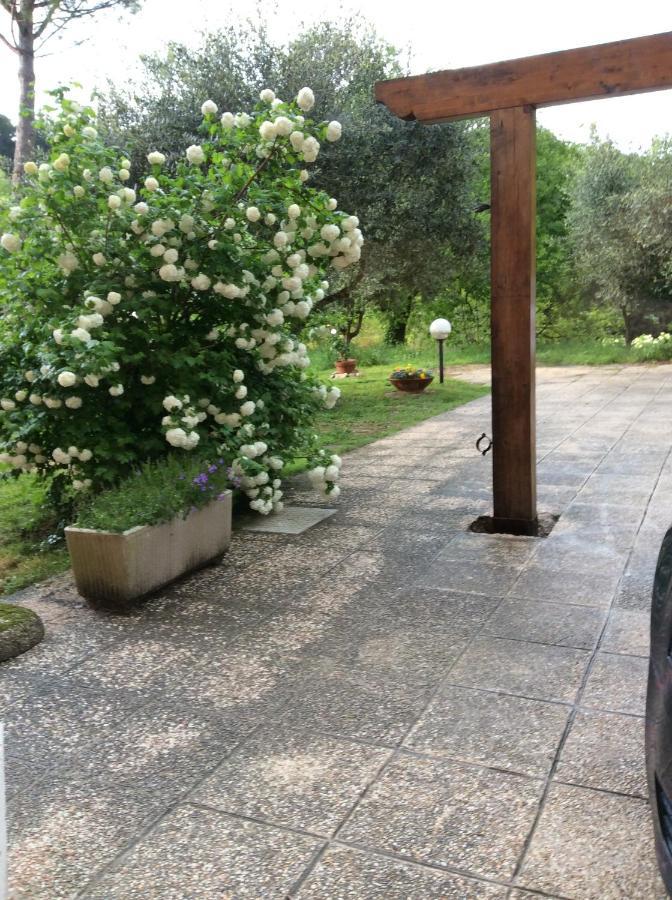 B&B Il Frassino Перуджа Екстериор снимка